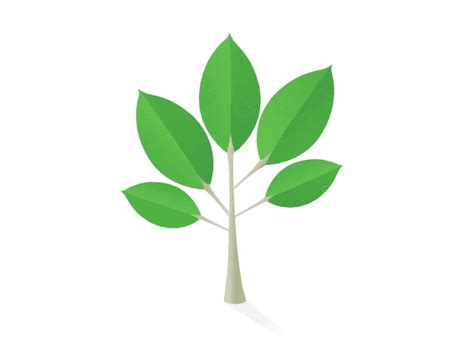 Plant Growing Animated Gif