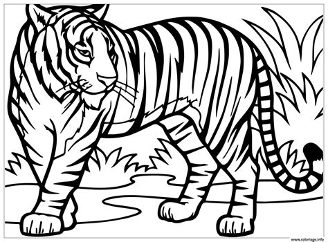 Coloriage Tigre Felin Vit Dans La Foret Asie Aux Yeux Bleus Dessin Animaux Sauvages à imprimer