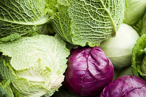 Types of Cabbage and How to Use Them