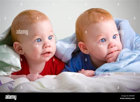 Beautiful young baby twin boys with red hair lying on front under soft ...