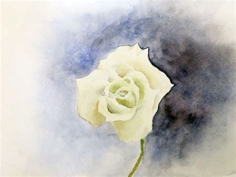 Rose, watercolor : r/painting