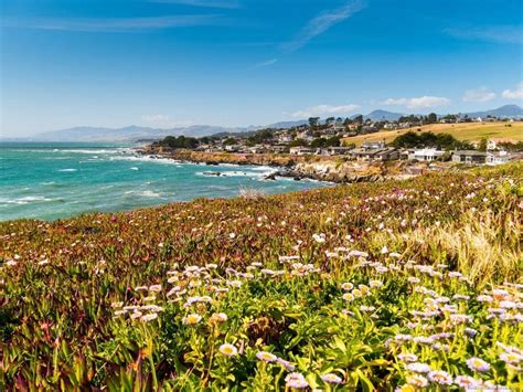 Things To Do In Cambria, CA + Where to Stay and Eat! - Finding the Universe