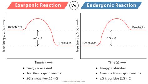 Exergonic Reaction: Definition, Equation, Graph, and Examples