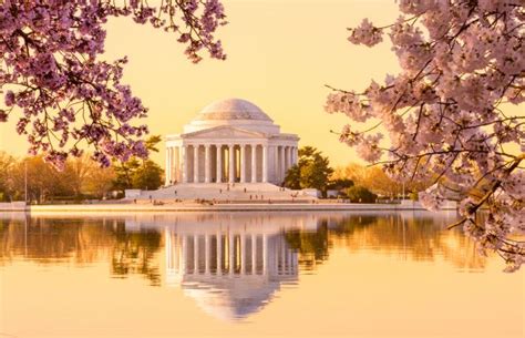 Cherry Blossoms and Washington DC March 26-31 and April 2-7, 2026 ...