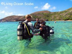 Non-Certified Hanauma Bay Shore Dive - .Hanauma Bay Dive Tours Reservations