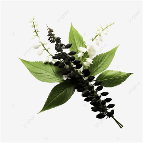 Bouquet Flowers Lysimachia Clethroides The Gooseneck, Gooseneck, Flowers, Bouquet PNG ...