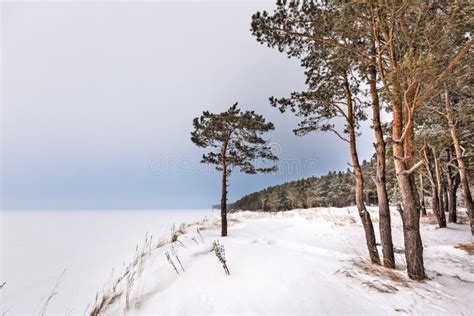 The Ob River Coast in Winter. Novosibirsk Region, Western Siberia ...