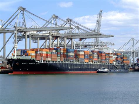 New 2M shipping schedule excellent news for port of Rotterdam | Hellenic Shipping News Worldwide