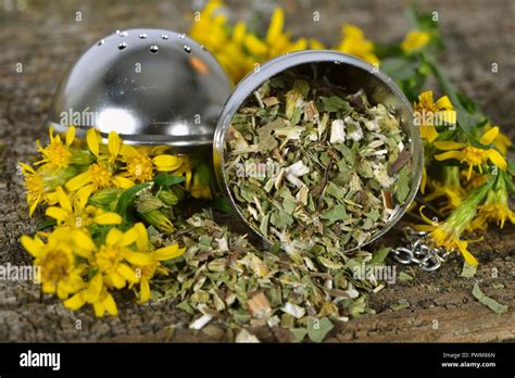 Dried goldenrod tea leaves in a tea ball, and fresh flowers Stock Photo ...