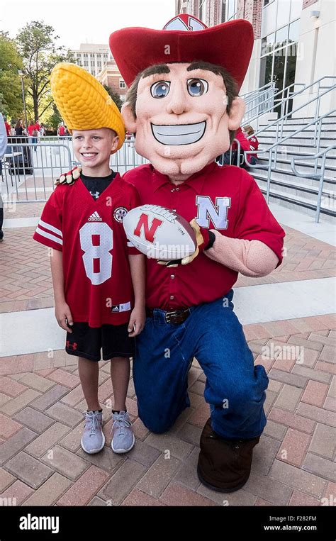 Nebraska cornhuskers mascot hi-res stock photography and images - Alamy