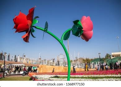 187 Taif Rose Images, Stock Photos & Vectors | Shutterstock