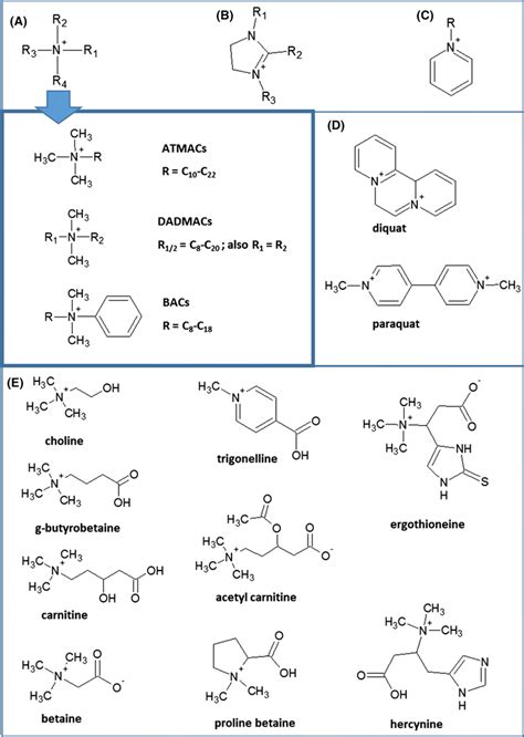 Basic structural properties of the group of quarternary alkylammonium ...