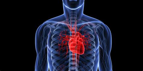 Cardiovascular disease remains Europe's biggest killer