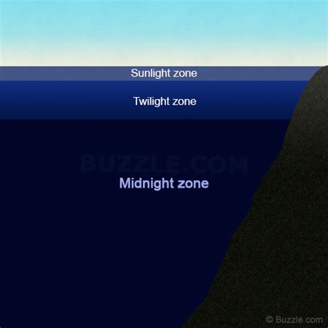 Interesting Facts About the Aphotic (Midnight) Zone of the Ocean