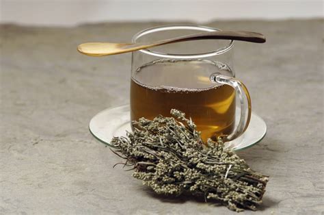 Health Benefits Of Mugwort Tea -Anxiety And Depression And Indigestion