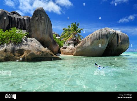 Boy snorkeling à Anse Source d'argent, La Digue, Seychelles, océan Indien sur La Digue aux ...