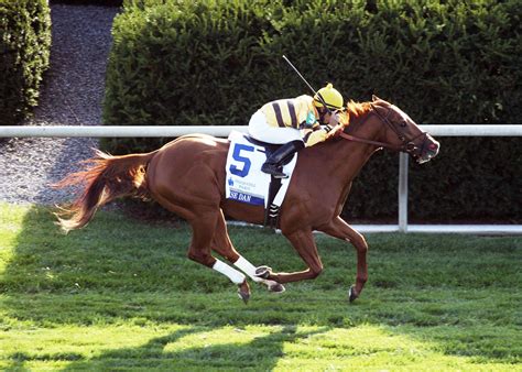 Wise Dan LOVE this horse!!! | Horses, Horse story, Sport of kings