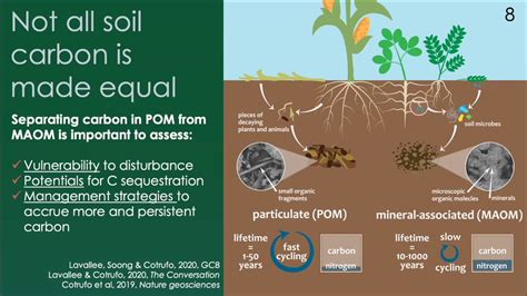 How Soil Carbon Sequestration Applies To Agriculture - Riset