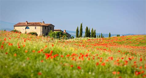 Italian Landscape Wallpaper | Wallsauce US