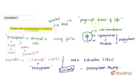 [Tamil Solution] State the protoplasm theory