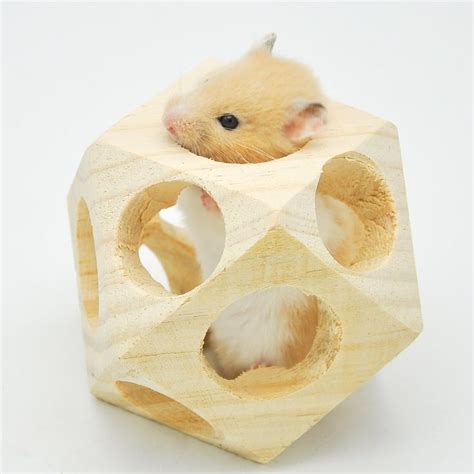 15 best images about Hamster Toys on Pinterest | Hamsters, Oasis and Turtles