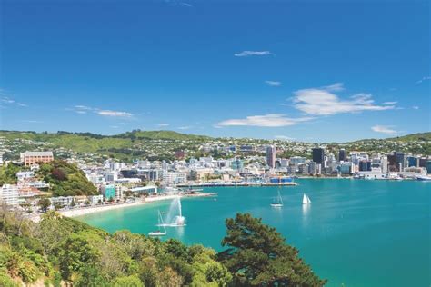 5 Reasons to Visit Wellington, New Zealand | AIFS Abroad