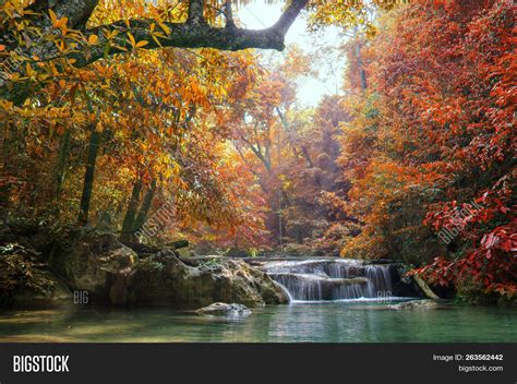 Waterfall Deep Forest Image & Photo (Free Trial) | Bigstock