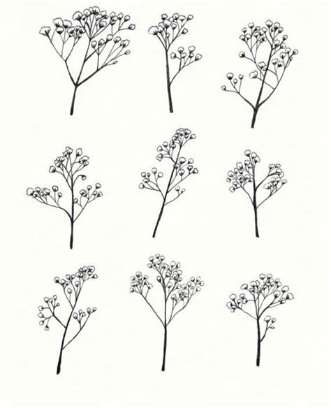 Baby's Breath Flower Tattoo Designs