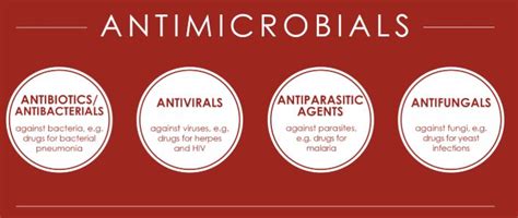 Antimicrobial Agents - An Overview - Careers Today