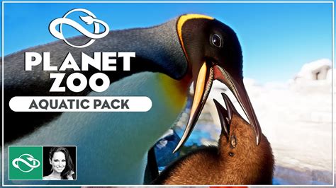 Planet Zoo Aquatic Pack & Free Update 1.4 | Overview | Review | DLC | - YouTube