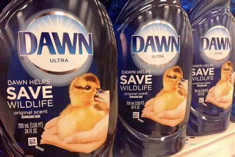 21 unusual but brilliant uses for Dawn dish soap in your RV - RV Travel