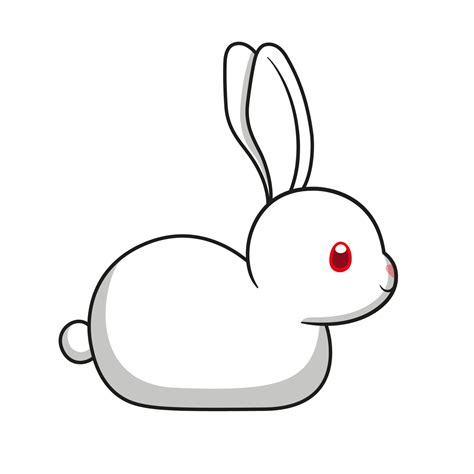 Everything you need to know about Albino Rabbits | Cottontail Club