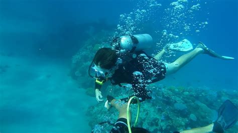 Scuba Diving Certification Requirements - Your Guide To Open Water Certification