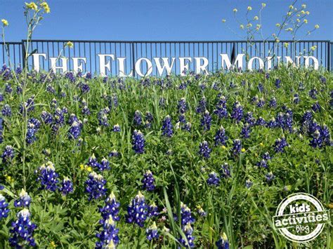 The Complete Goodness Guide to Flower Mound, TX | Flower mound tx, Flower mound, Local florist