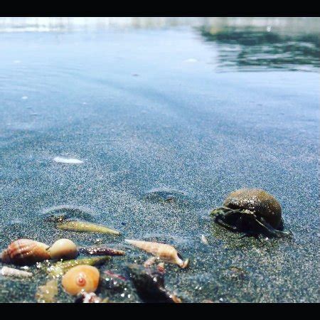 Zushi Beach - All You Need to Know Before You Go (with Photos ...