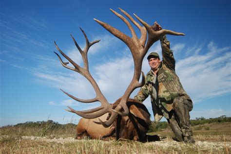 Elk 507 | 507" SCI Official World Record Handgun Bull Elk 20… | Flickr