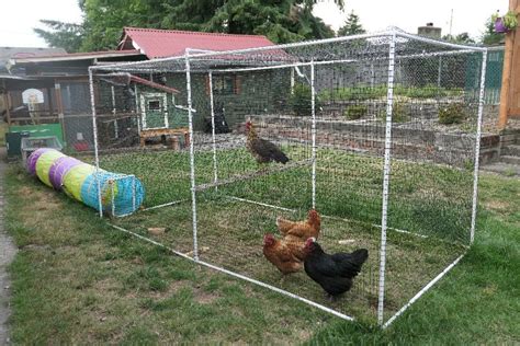 How to build a portable PVC pipe chicken run