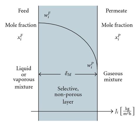 Solution-diffusion model describing mass transport through polymeric... | Download Scientific ...