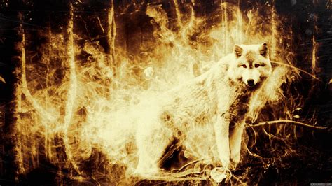 Fire Wolf Wallpaper - WallpaperSafari