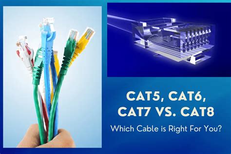 Cat5, Cat6, Cat7 vs. Cat8: Which Cable is Right For You? (2022)