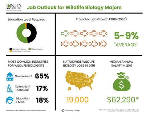 What Can You Do With a Wildlife Biology Degree? - Unity Environmental University