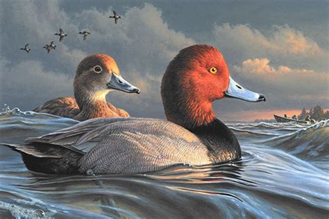 Minnesota artist wins 2021 Federal Duck Stamp Art Contest