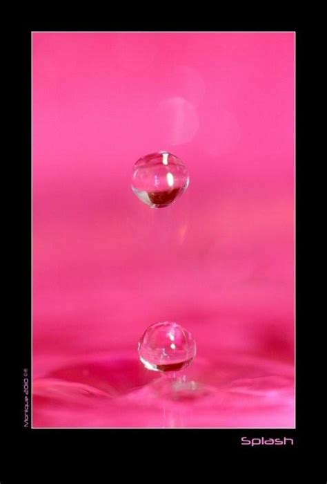 Splash Pink | Pretty in pink, Pink, Splash