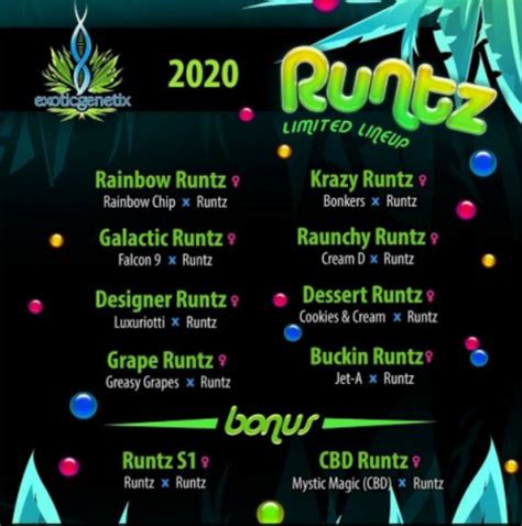 Rainbow Runtz Strain Info / Rainbow Runtz Weed By Exotic Genetix - GrowDiaries