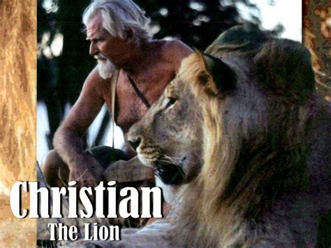 Christian the Lion (1971) - Rotten Tomatoes