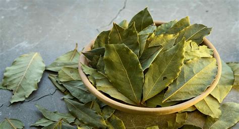 What is Bay Leaf? - Recipes.net