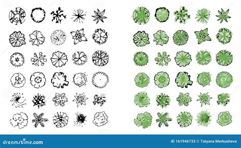 Various Trees, Bushes and Shrubs, Top View for Landscape Design Plan. Vector Illustration ...