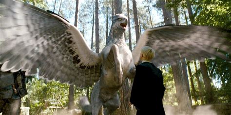 Harry Potter: 10 Things You Didn’t Know About Buckbeak