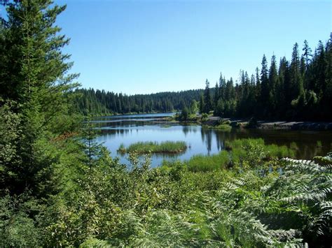 Elk River Backcountry Byway - Visit North Central Idaho