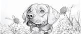 realistic dog coloring Pages 12 Free Download Printable sketch template